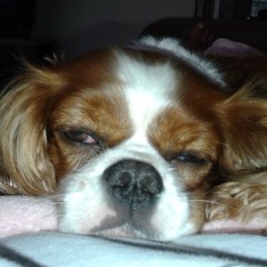 Meet your Posher, Patty